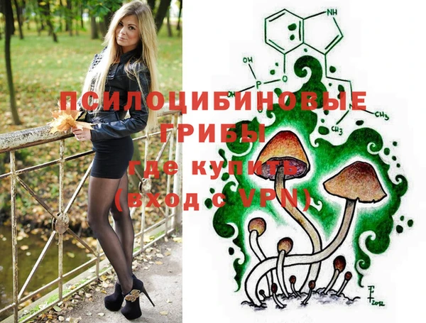 шишки Баксан