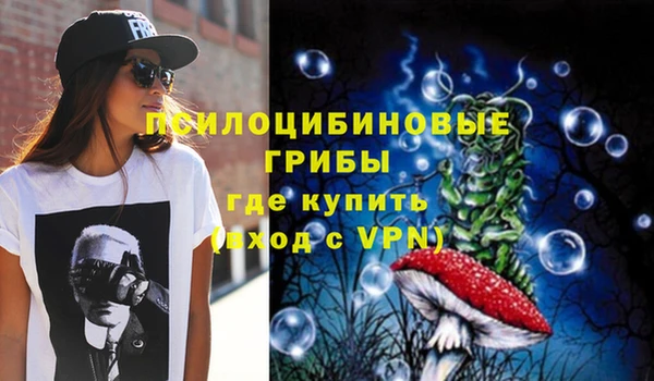 шишки Баксан