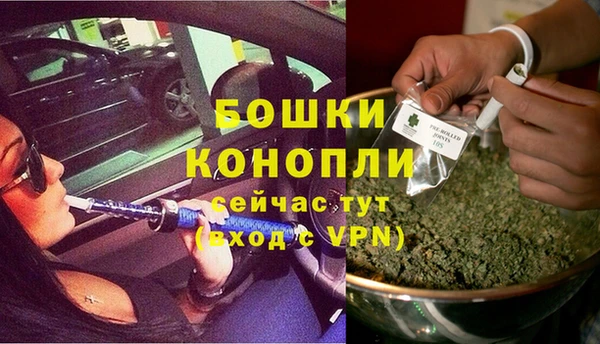 трава Балахна